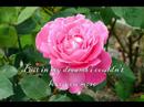 My Valentine - Martina Mcbride