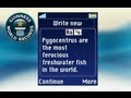 Fastest text message