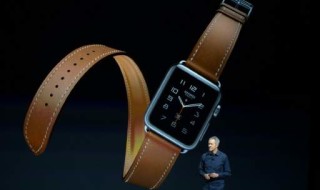 Apple Insider Becomes Chief Operating Officer