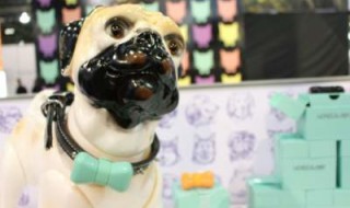Tech Tethers Dog Lovers Remotely To Their Pets